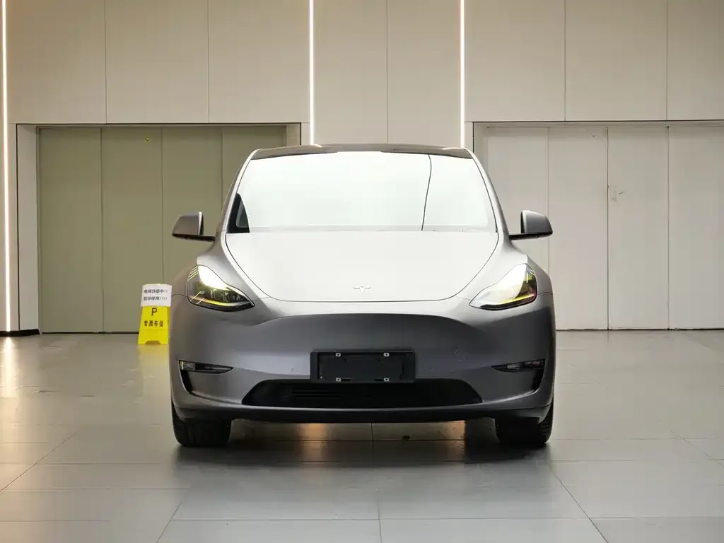 Tesla Model Y 2021 из CN, фото 3