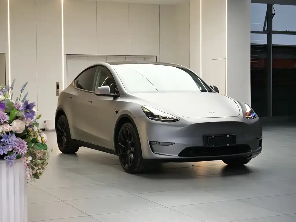 Tesla Model Y 2021 из CN, фото 9