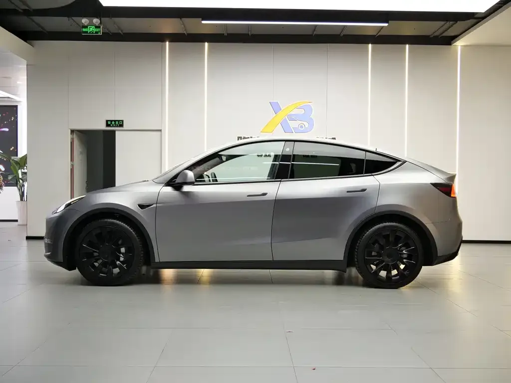 Tesla Model Y 2021 из CN, фото 2