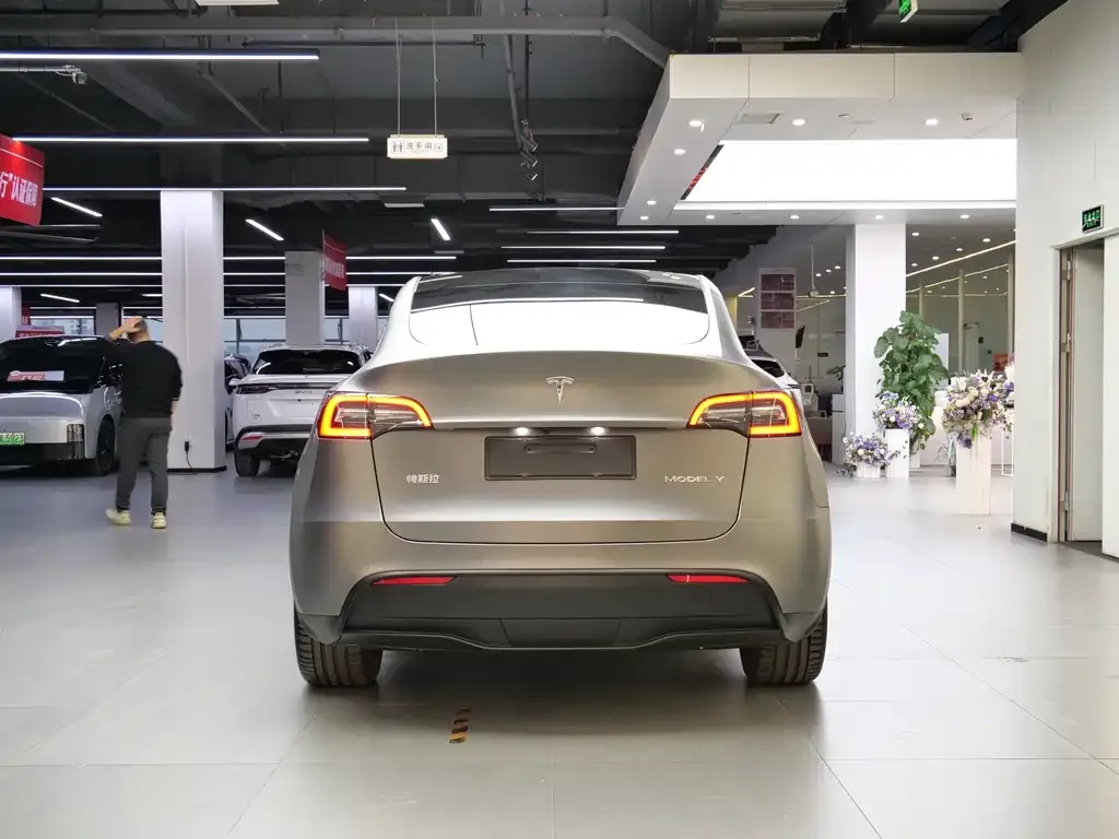 Tesla Model Y 2021 из CN, фото 6