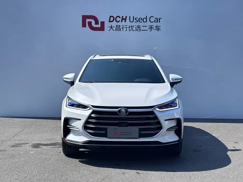 BYD Tang New Energy 2022 из CN, фото 2