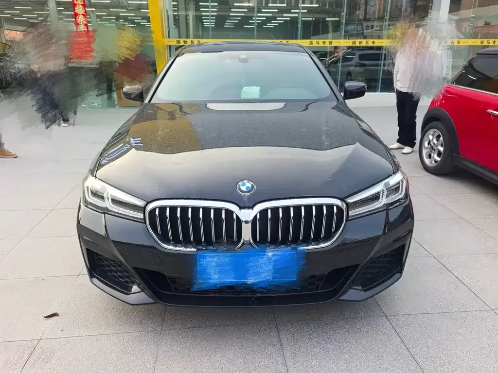 BMW 5 Series 2022 из CN, фото 6