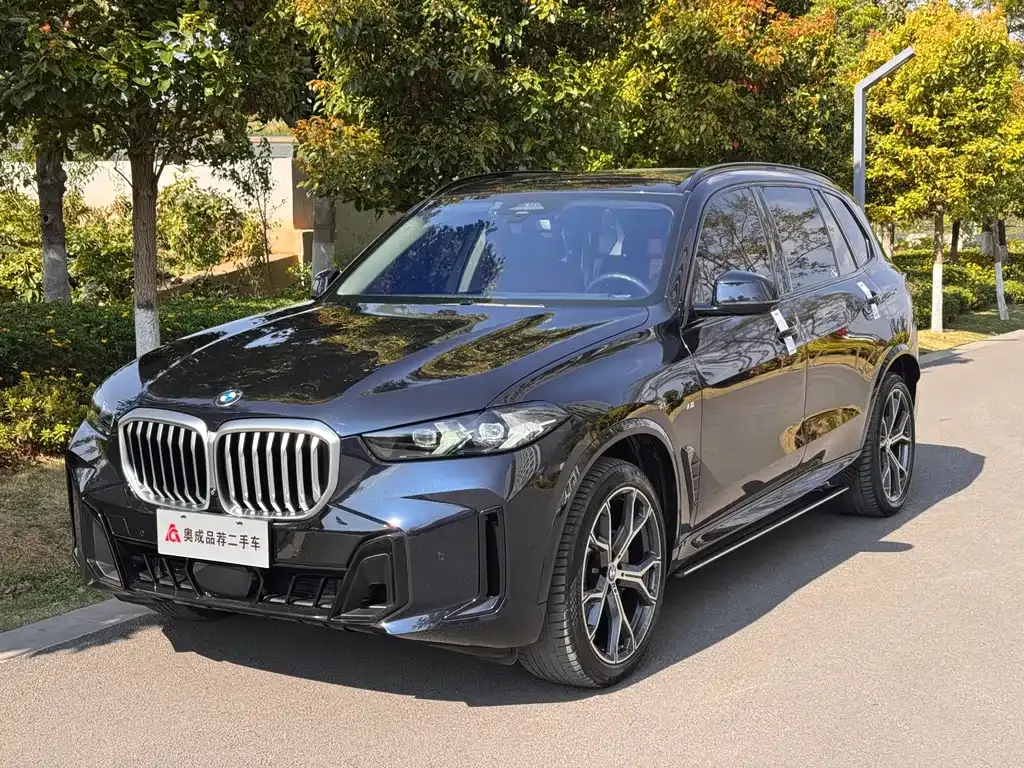 BMW X5 2024 из CN, фото 1