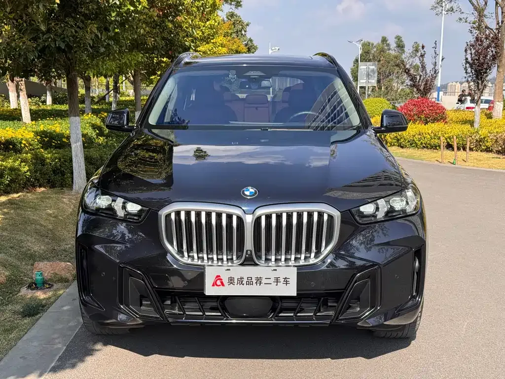BMW X5 2024 из CN, фото 8
