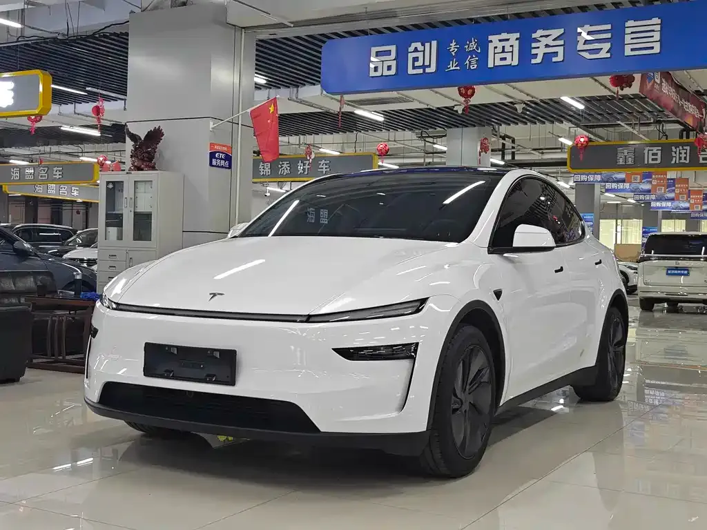 Tesla Model Y 2025 из CN, фото 1