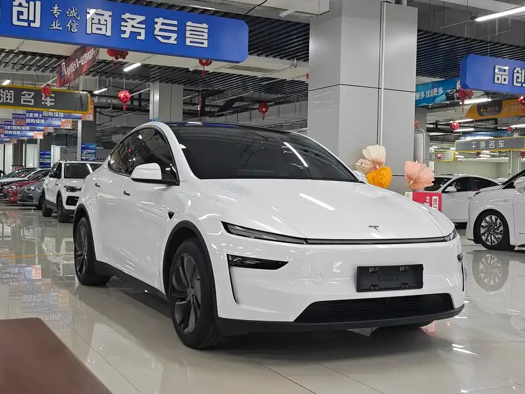 Tesla Model Y 2025 из CN, фото 4
