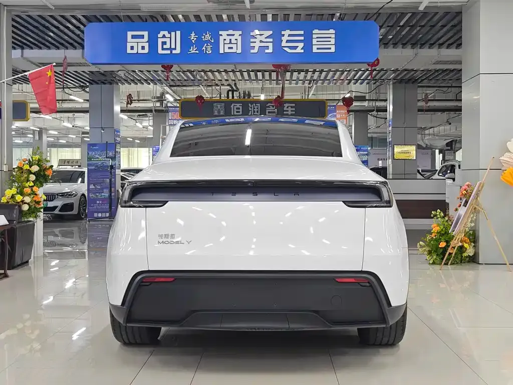 Tesla Model Y 2025 из CN, фото 10