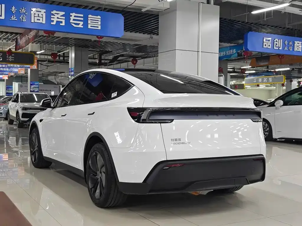 Tesla Model Y 2025 из CN, фото 6