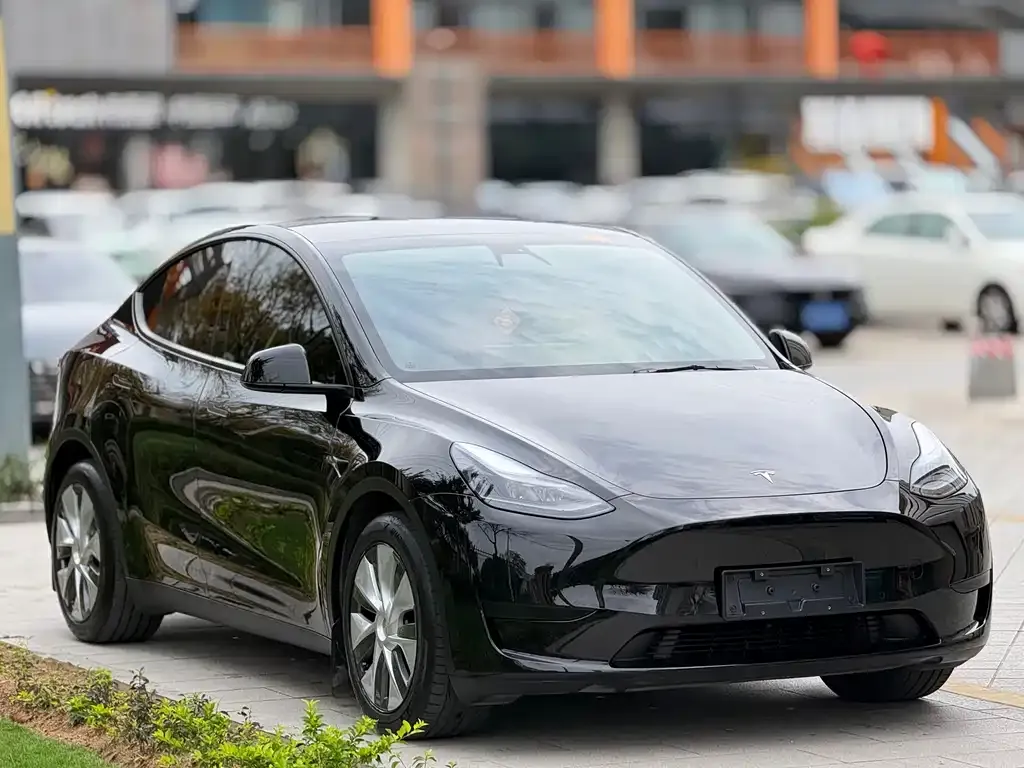Tesla Model Y — фото 8