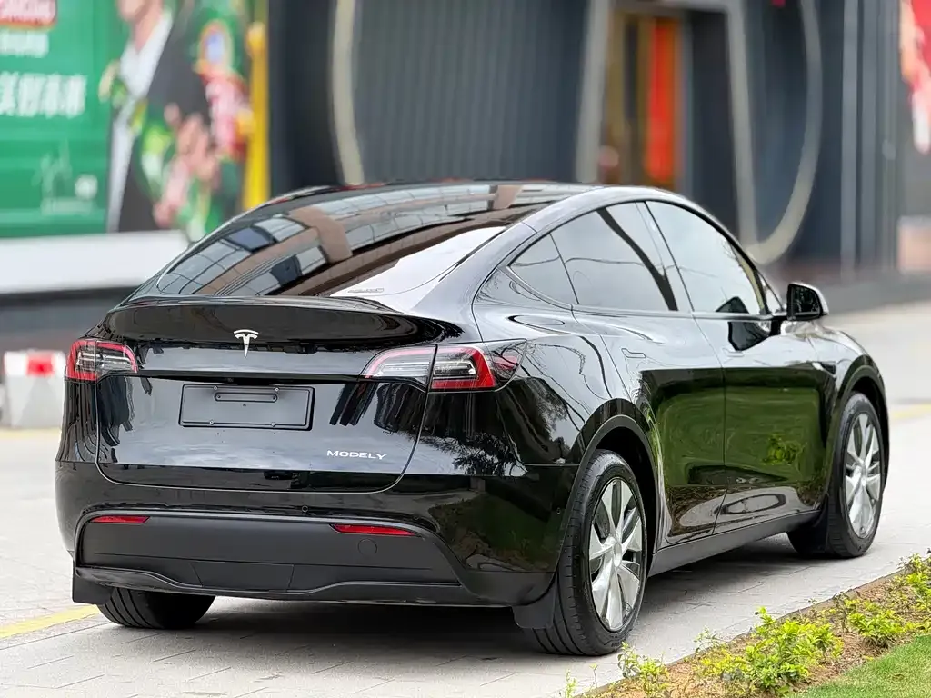 Tesla Model Y — фото 6