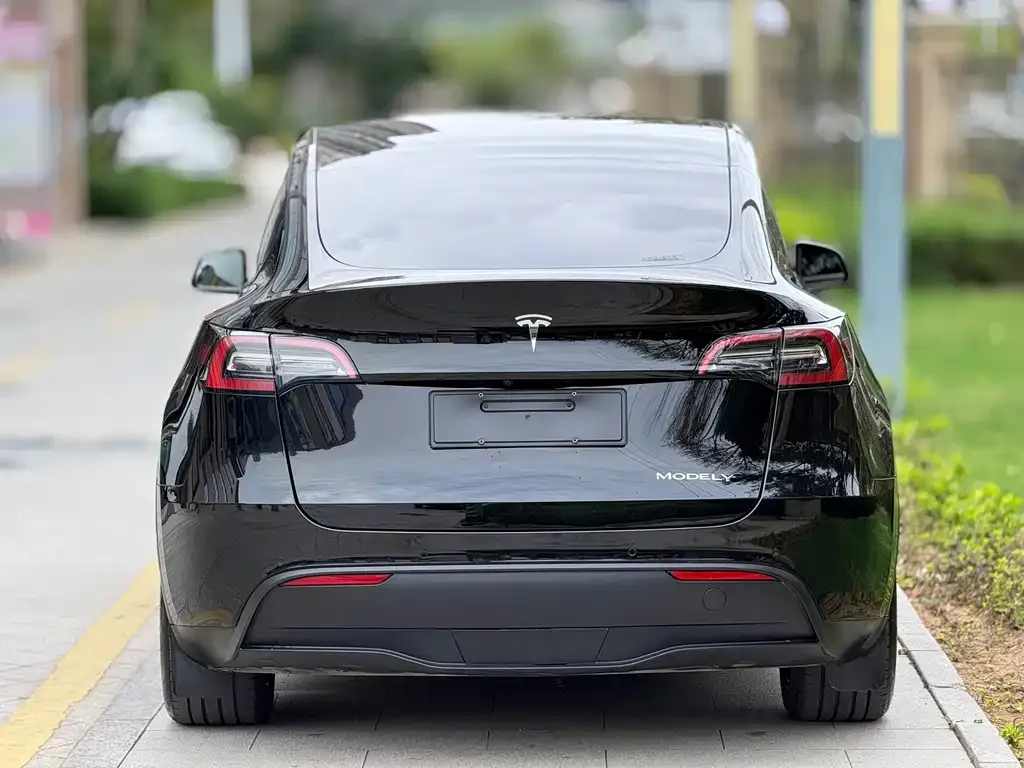 Tesla Model Y — фото 2