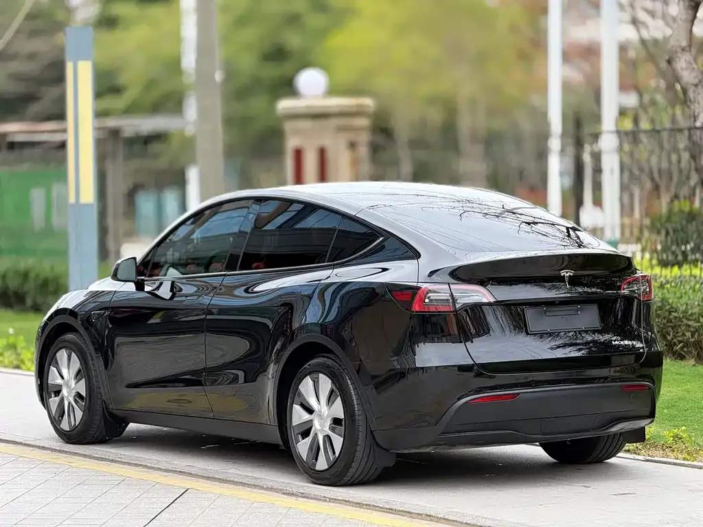 Tesla Model Y — фото 10
