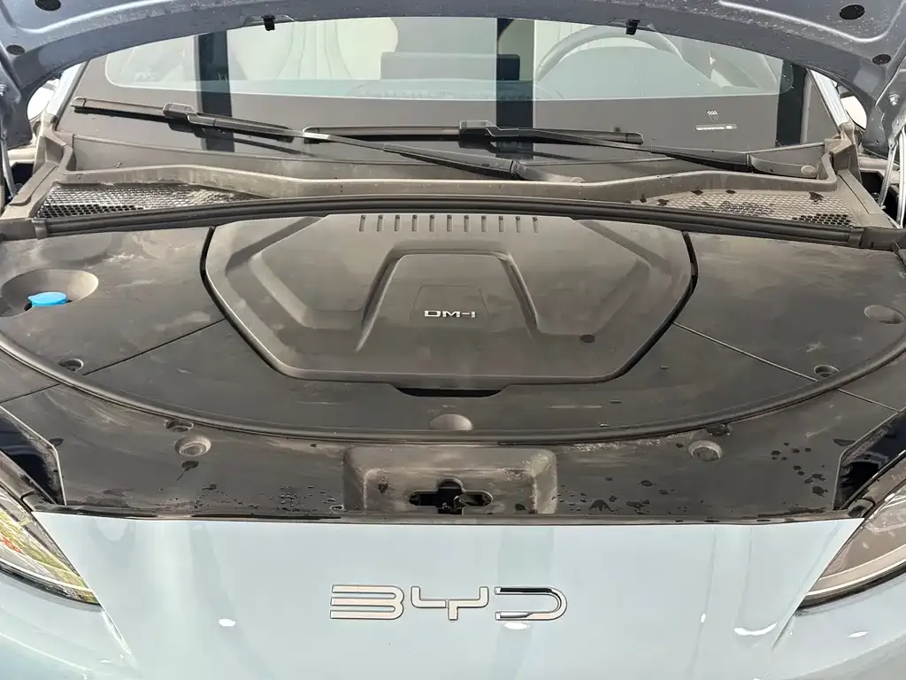BYD PLUS New Energy — фото 7