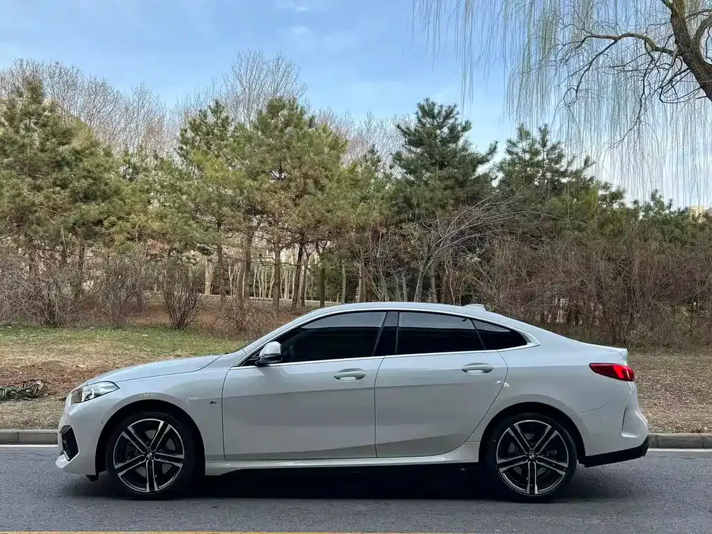 BMW 2 Series (Import) — фото 10