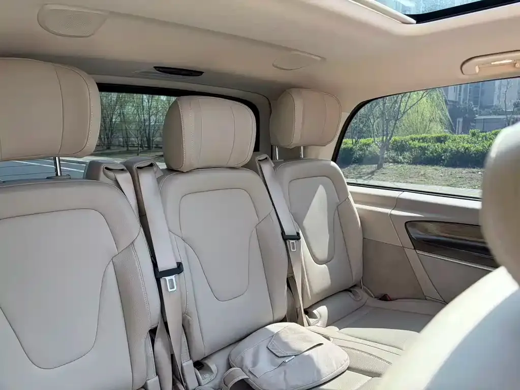 Mercedes-Benz V-Class 2021 из CN, фото 2