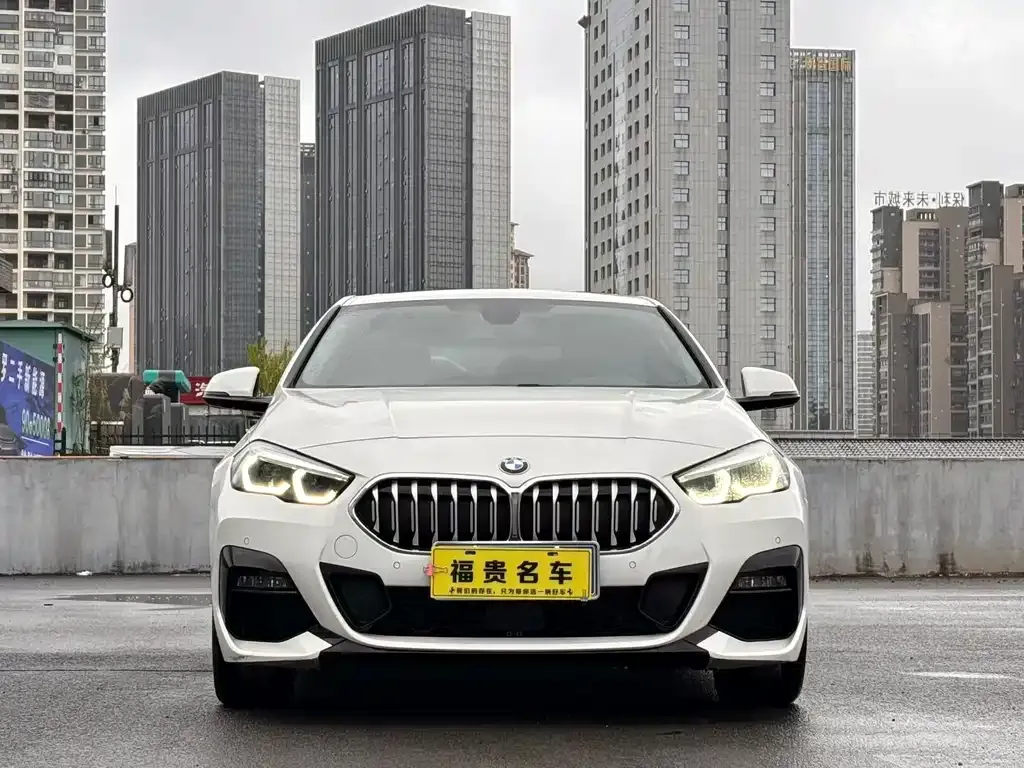 BMW 2 Series (Import) — фото 6