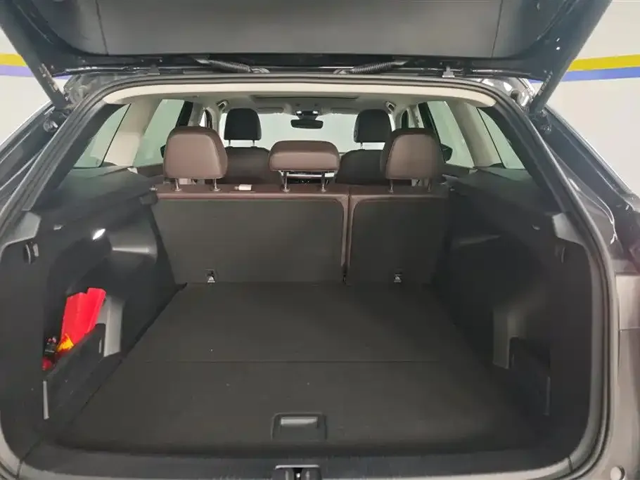 Volkswagen Tavendor 2024 из CN, фото 3