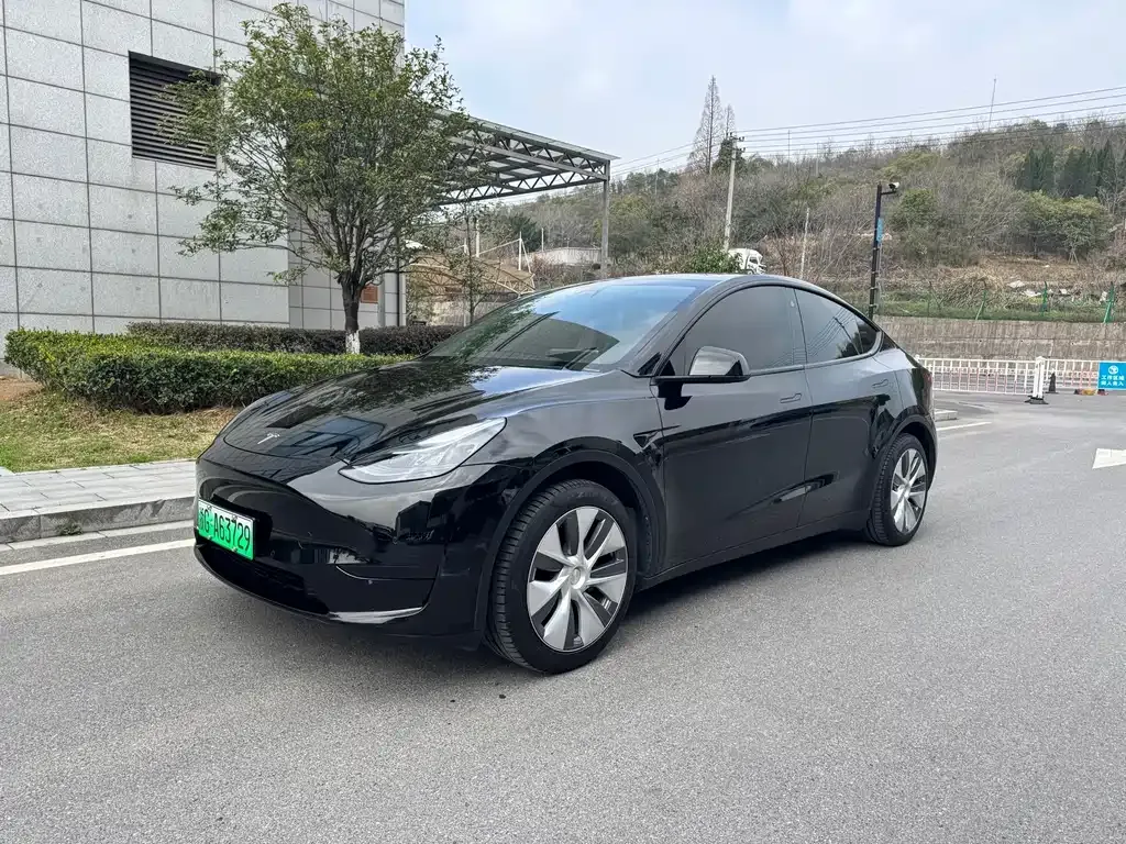 Tesla Model Y 2022 из CN, фото 1