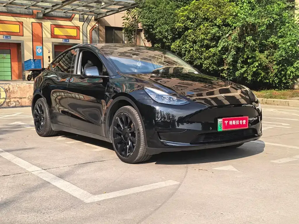 Tesla Model Y — фото 3