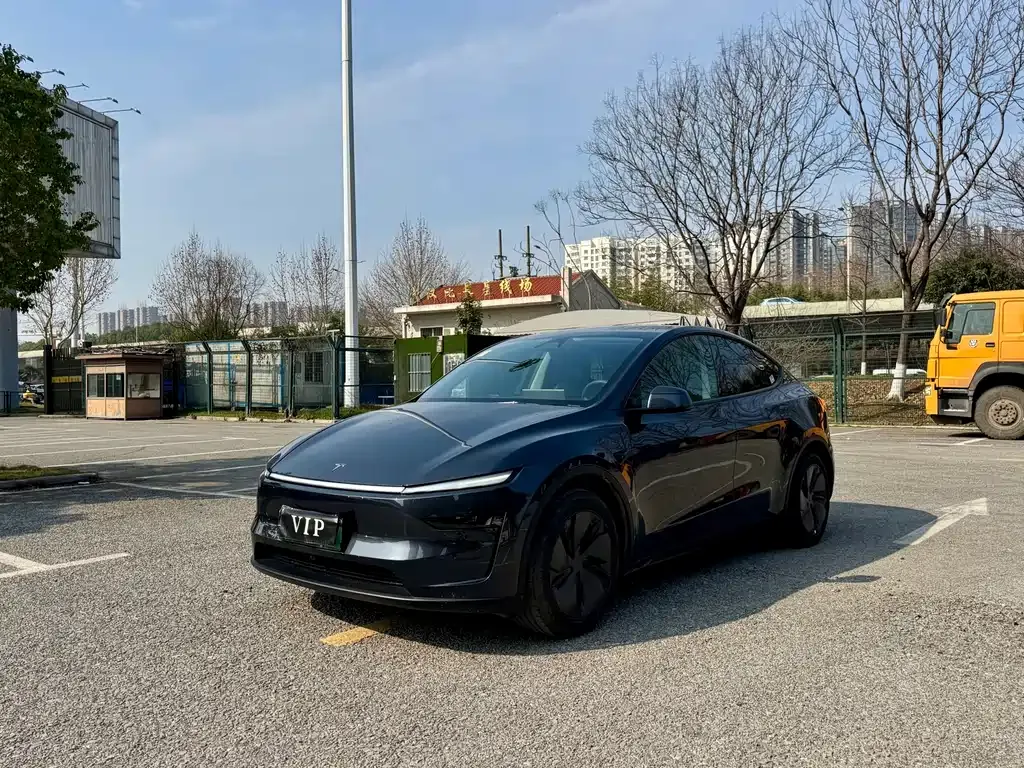 Tesla Model Y 2025 из CN, фото 1