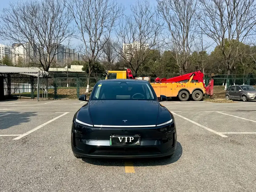 Tesla Model Y 2025 из CN, фото 8