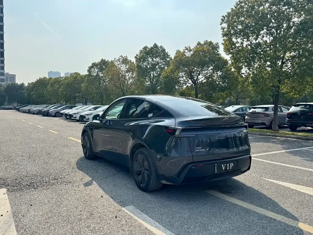 Tesla Model Y 2025 из CN, фото 2