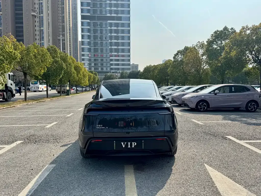 Tesla Model Y 2025 из CN, фото 3