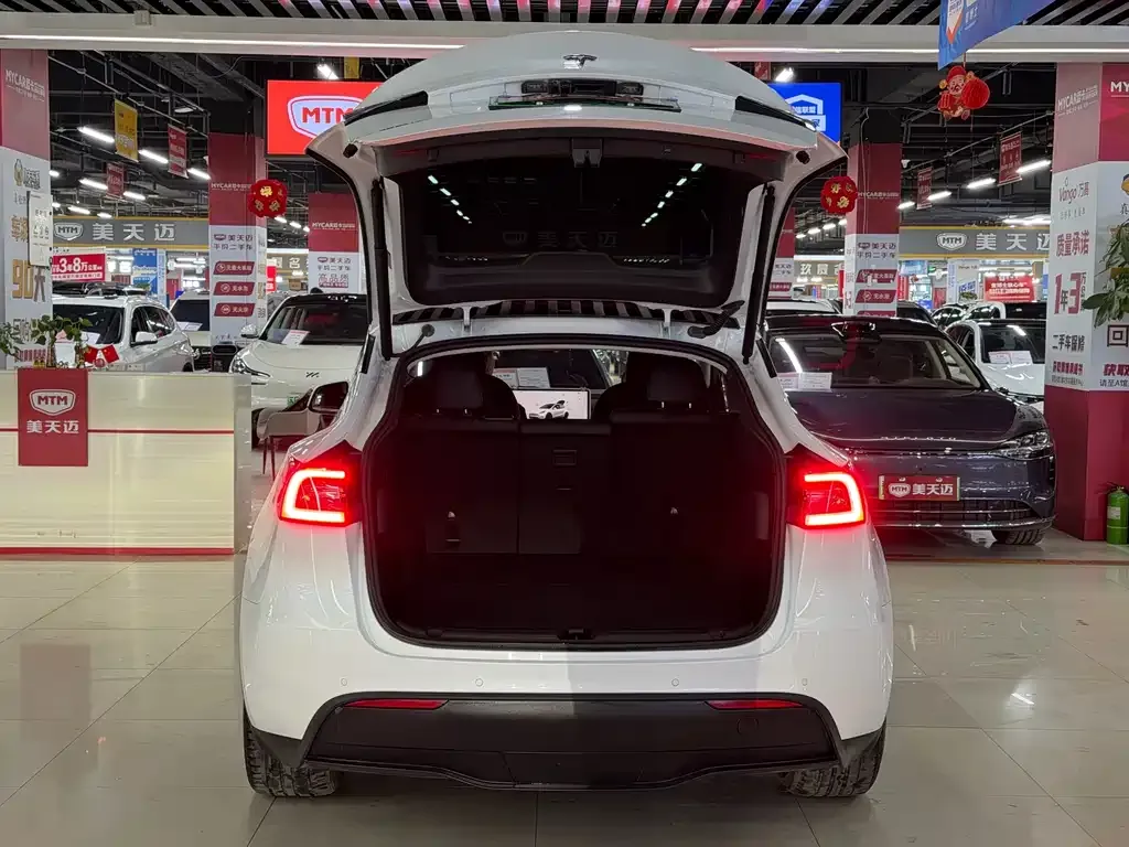 Tesla Model Y — фото 4