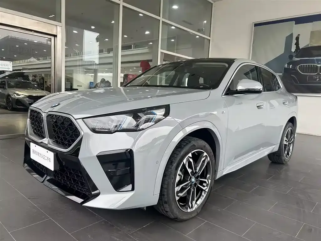 BMW X2 (Import) — фото 1