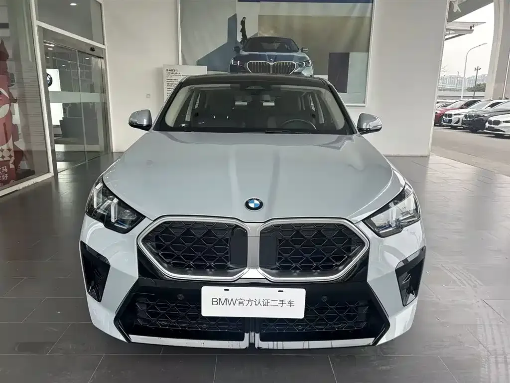 BMW X2 (Import) — фото 8