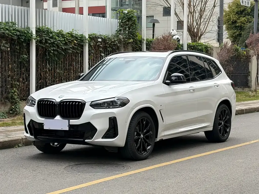 BMW X3 — фото 1