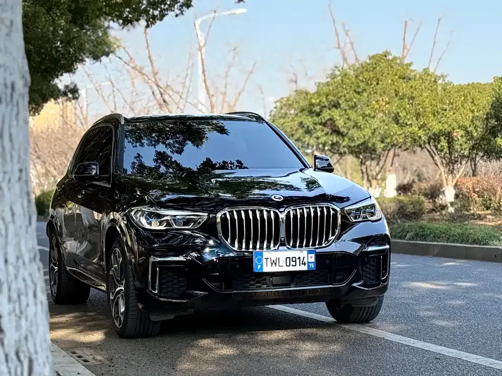 BMW X5 2023 из CN, фото 9
