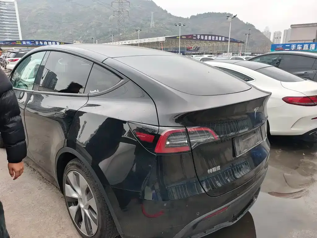 Tesla Model Y — фото 2