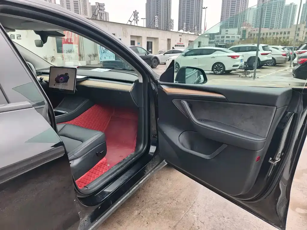 Tesla Model Y — фото 10