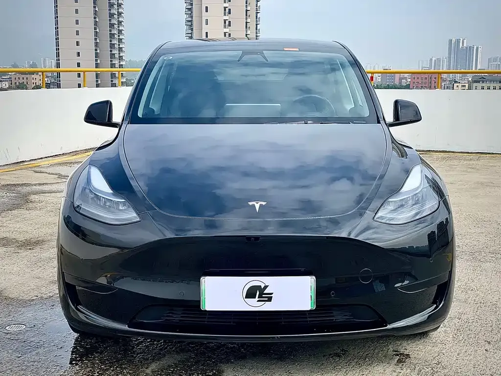 Tesla Model Y — фото 2