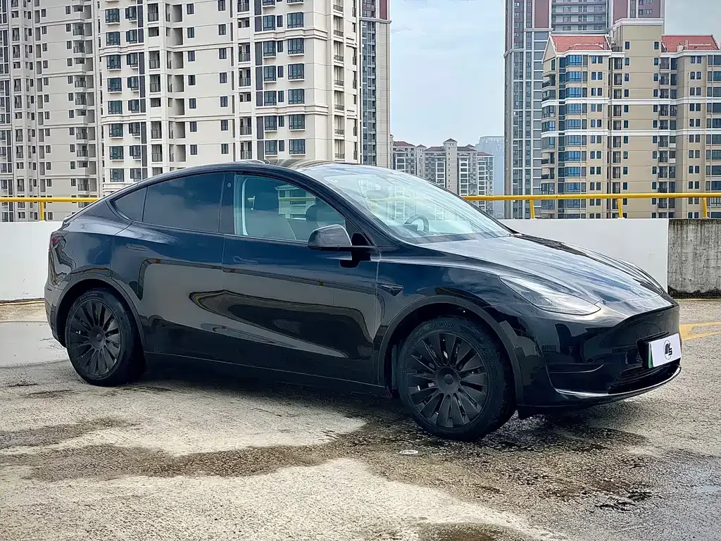 Tesla Model Y — фото 6