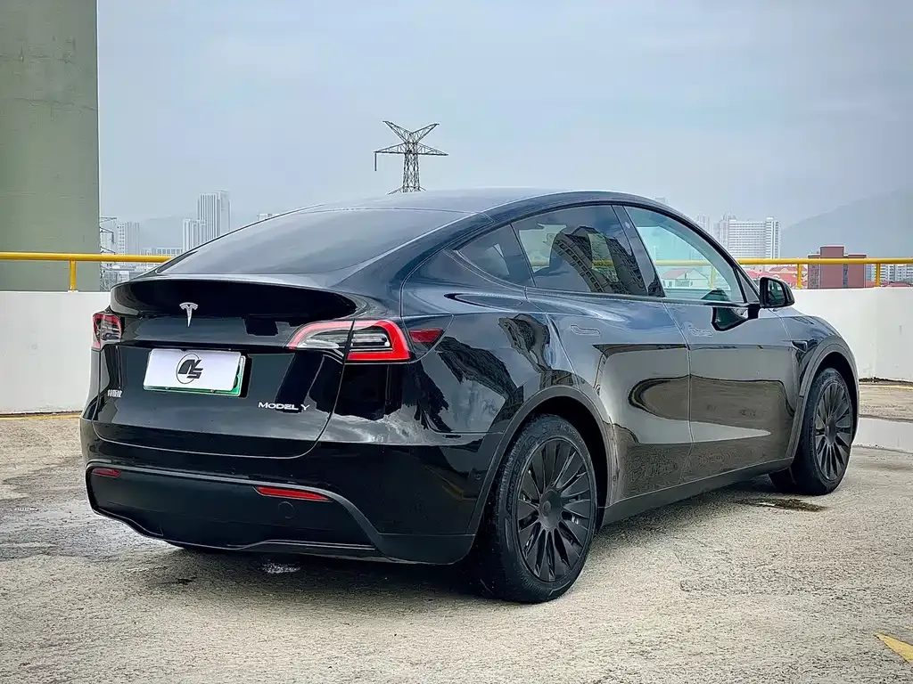 Tesla Model Y — фото 5