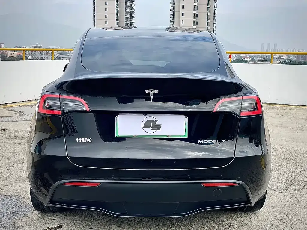 Tesla Model Y — фото 4
