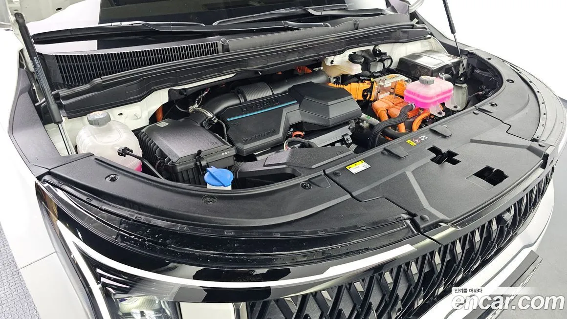 Kia Carnival — фото 10