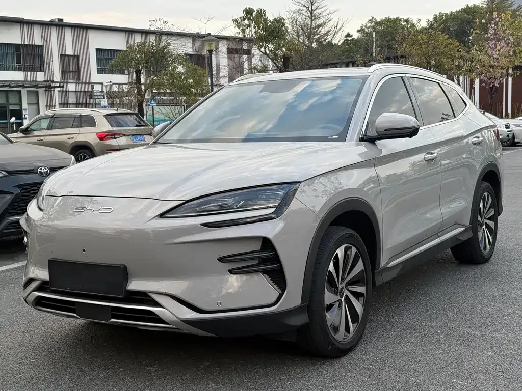 BYD PLUS New Energy 2024 из CN, фото 1