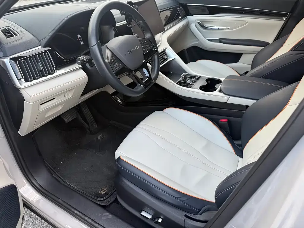 BYD PLUS New Energy 2024 из CN, фото 9