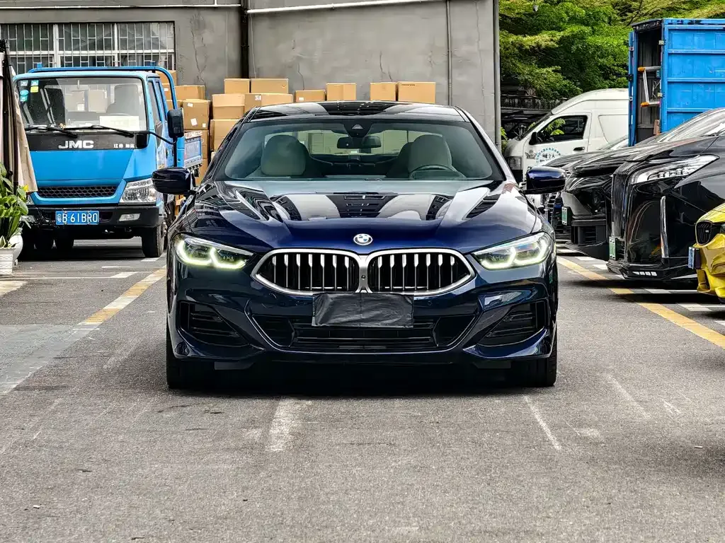 BMW 8 Series — фото 10