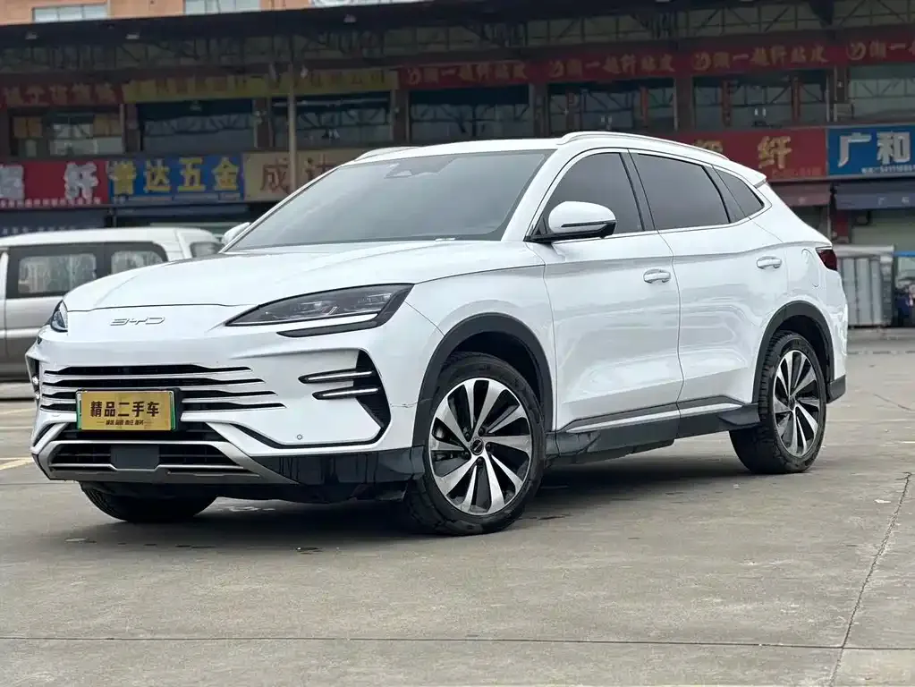 BYD PLUS New Energy — фото 1