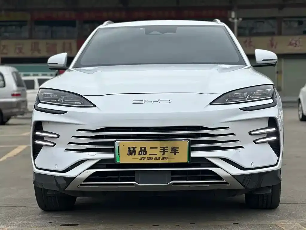 BYD PLUS New Energy — фото 3