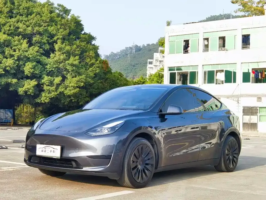 Tesla Model Y — фото 1