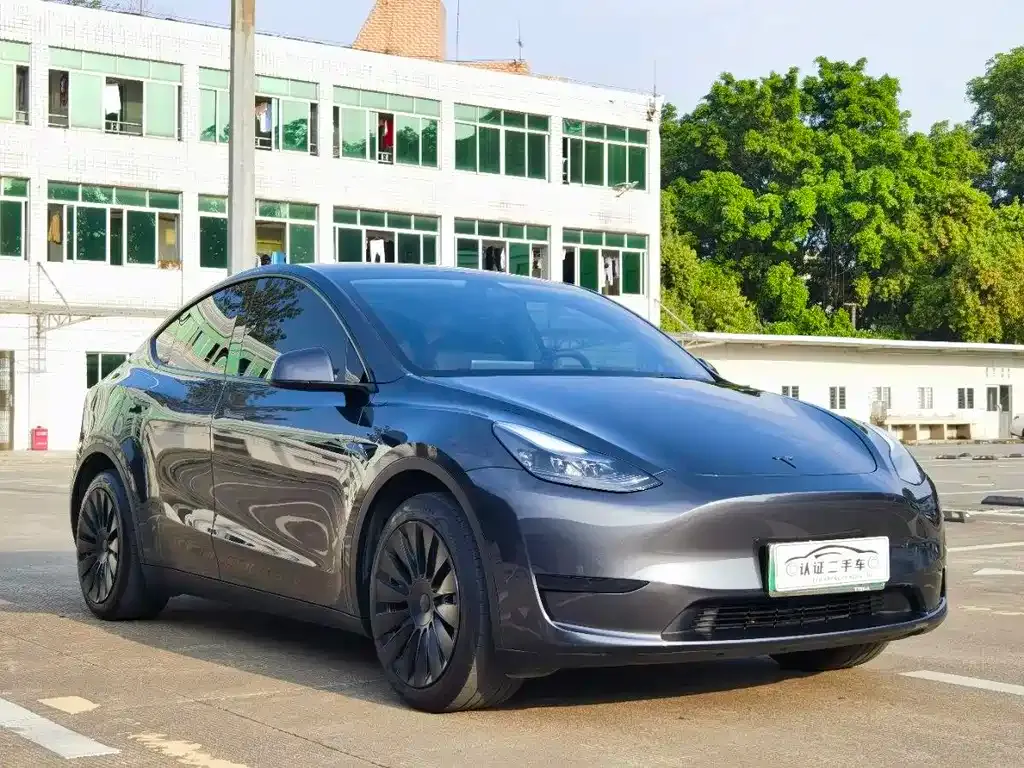 Tesla Model Y — фото 9