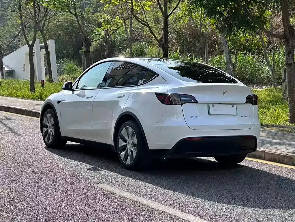 Tesla Model Y — фото 9