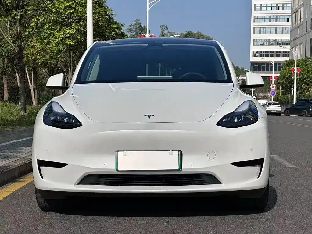 Tesla Model Y — фото 6