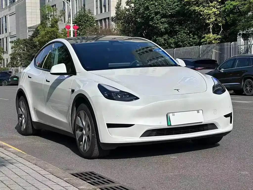Tesla Model Y — фото 2