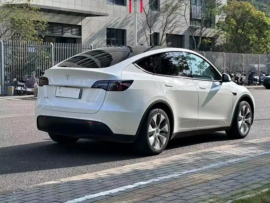 Tesla Model Y — фото 3